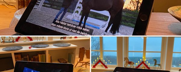 Peder och den krävande satsningen