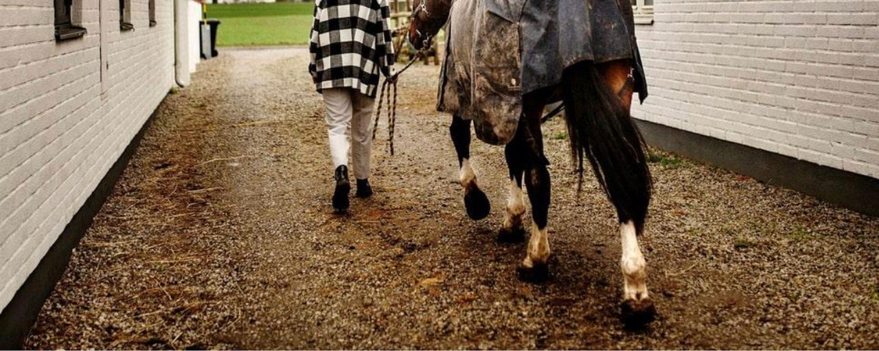 ”Ridsporten missgynnas för att det är tjejer som rider”