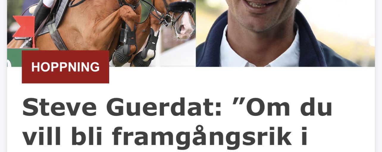 Förutsättningar för att bli framgångsrik…..