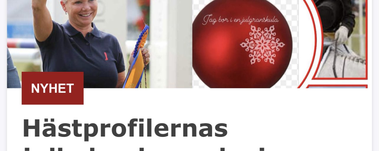 Julkalendrar får vi aldrig för många av……