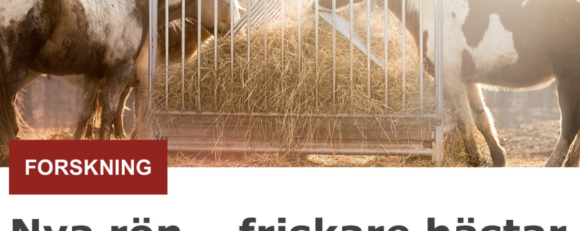 Lösdrift kan vi aldrig skriva för mycket om…..