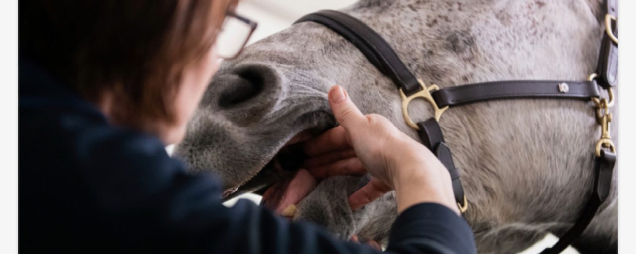 Rensa i bettarsenalen!