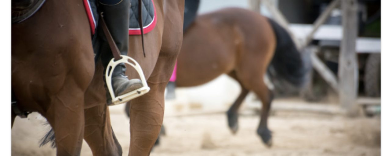 Michael Schultz lanserar ny tävlingstour