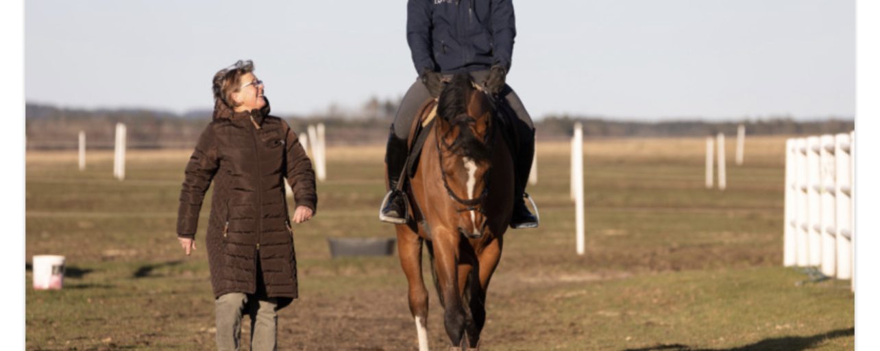 Hästförädling bygger på förtroende mellan ägare och ryttare