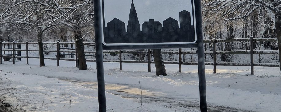 Skymmning över Flyinge, del 7