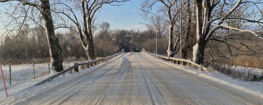 Skymmning över Flyinge, del 8