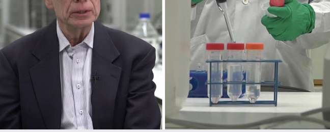 Vaccin till djur kan minska antibiotikaresistens