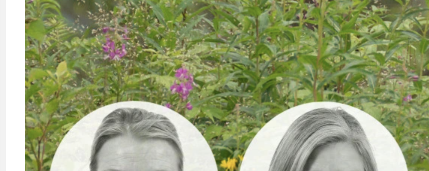 Debattörerna: Vi behöver ta hästmänniskors oro på allvar